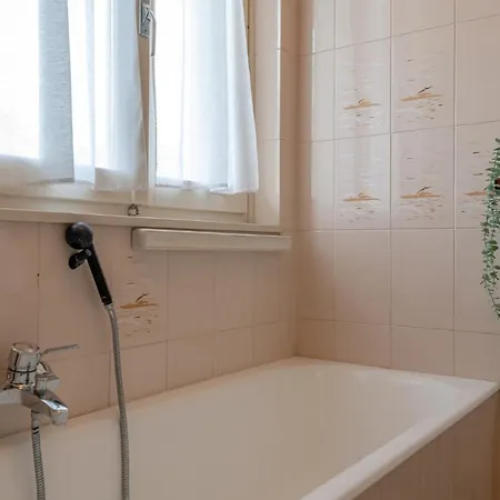 Swan By Wonderful Italy Apartment Bellagio