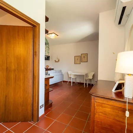 Swan By Wonderful Italy